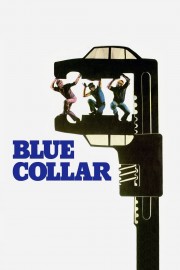 hd-Blue Collar