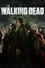 Watch Free The Walking Dead Movies Full HD Soaper TV