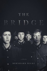 watch The Bridge free online