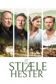 Watch free Out Stealing Horses movies online