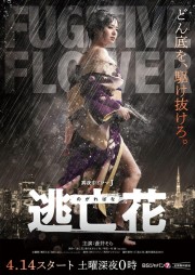 Watch free Fugitive Flower movies online