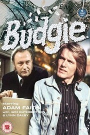 watch Budgie free online