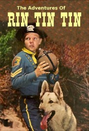 Watch free The Adventures of Rin Tin Tin movies online