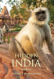 Watch free Hidden India movies online