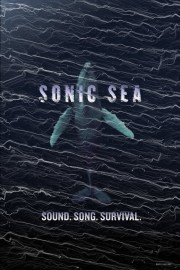 Watch free Sonic Sea movies online