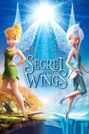 watch Secret of the Wings free online