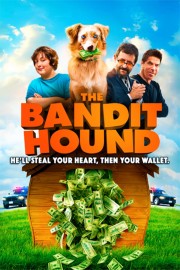 watch The Bandit Hound free online