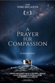 Watch Free A Prayer for Compassion Movies Full HD Soaper TV