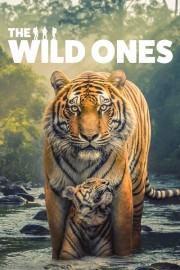 The Wild Ones The Wild Ones