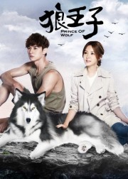 Watch free Prince of Wolf movies online