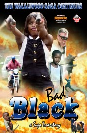 Watch free Bad Black movies online