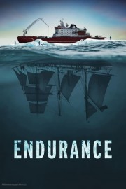 watch Endurance free online