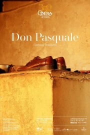 Watch free Donizetti: Don Pasquale movies online