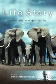 watch Life Story free online