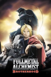 hd-Fullmetal Alchemist: Brotherhood