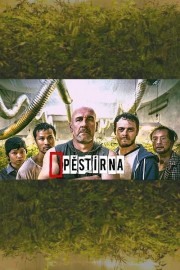 Watch free Pěstírna movies online