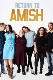 Watch free Return to Amish movies online