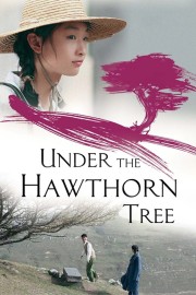 watch Under the Hawthorn Tree free online