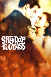 hd-Splendor in the Grass