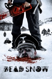 Watch free Dead Snow movies online