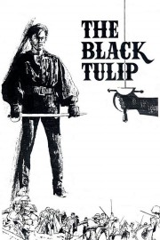 Watch free The Black Tulip movies online