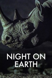 Watch free Night on Earth movies online