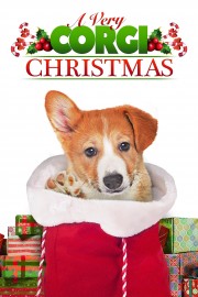 hd-A Very Corgi Christmas