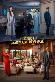 hd-Perfect Marriage Revenge