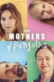 hd-The Mothers of Penguins