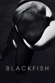 Watch free Blackfish movies online