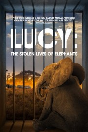 Lucy: The Stolen Lives of Elephants Watch Free Lucy: The Stolen Lives of Elephants Movies Full HD Soaper TV