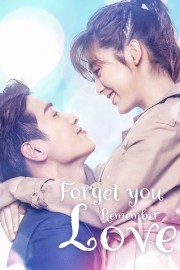 hd-Forget You Remember Love