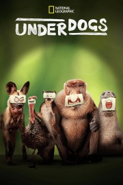 Underdogs Underdogs