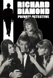 Watch free Richard Diamond, Private Detective movies online