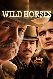 hd-Wild Horses