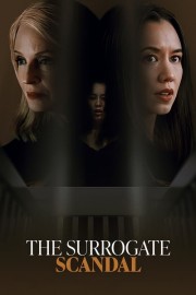 Watch free The Surrogate Scandal movies online