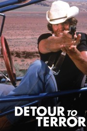 watch Detour to Terror free online