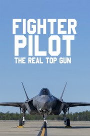 Watch free Fighter Pilot: The Real Top Gun movies online