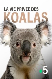 Watch free La vie privée des koalas movies online