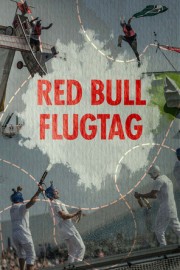 hd-Red Bull Flugtag