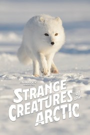 watch Strange Creatures of the Arctic free online