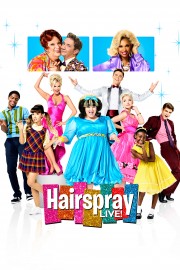 Watch free Hairspray Live! movies online