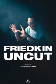 Watch free Friedkin Uncut movies online