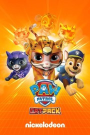 Cat Pack: A PAW Patrol Exclusive Event-voll