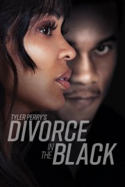 watch Tyler Perry's Divorce in the Black free online