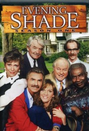 Watch free Evening Shade movies online