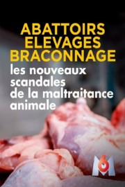 Watch free Abattoirs, élevages, braconnage, les nouveaux scandales de la maltraitance animale movies online