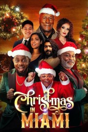 Watch Free Christmas in Miami Movies Full HD Soaper TV