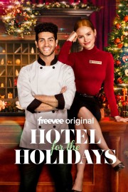 Watch free Hotel for the Holidays movies online