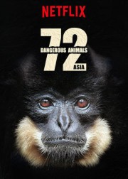 Watch free 72 Dangerous Animals: Asia movies online